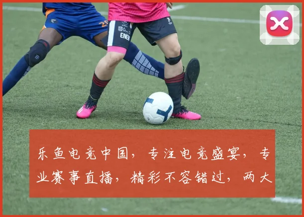 乐鱼电竞中国，专注电竞盛宴，专业赛事直播，精彩不容错过，两大亮点，等你来战