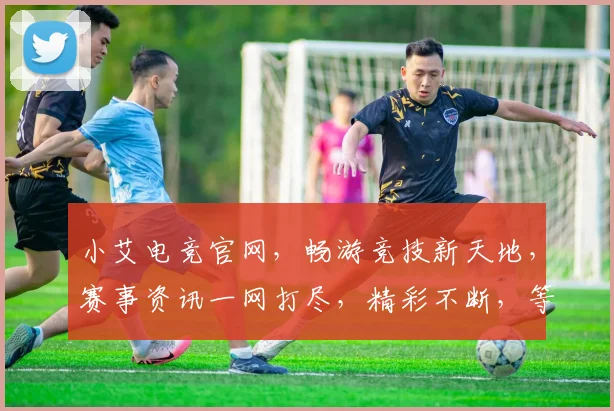 小艾电竞官网，畅游竞技新天地，赛事资讯一网打尽，精彩不断，等你来战