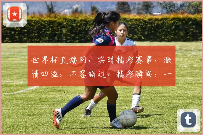 世界杯直播网，实时精彩赛事，激情四溢，不容错过，精彩瞬间，一网打尽