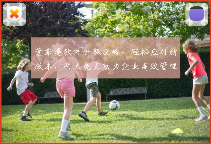 管家婆软件升级攻略，轻松应对新版本，两大亮点助力企业高效管理，不容错过