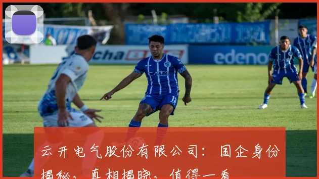 云开电气股份有限公司：国企身份揭秘，真相揭晓，值得一看