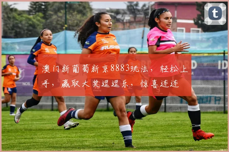 澳门新葡萄新京8883玩法，轻松上手，赢取大奖逗逗乐，惊喜连连